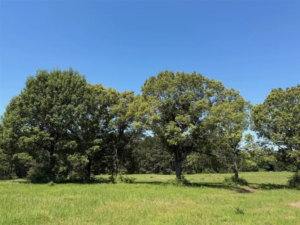Tbd Hwy 75 South Buffalo TX 75831