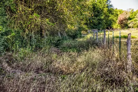 460 County Road 328 Caldwell TX 77836
