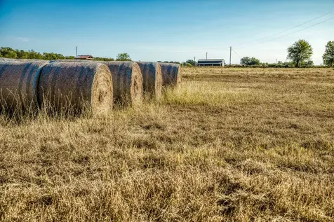 460 County Road 328 Caldwell TX 77836