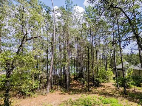 4473 Holly Trail Road Montgomery TX 77316