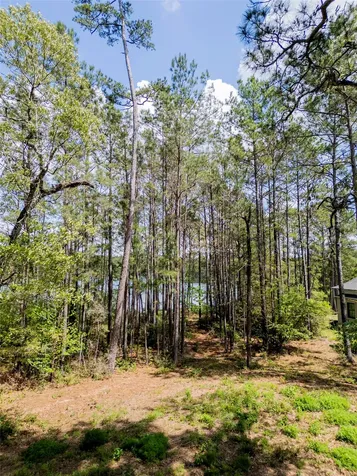 4473 Holly Trail Road Montgomery TX 77316