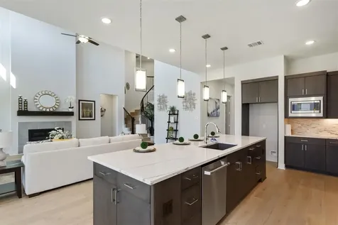 21311 Blue Wood Aster Court Cypress TX 77433