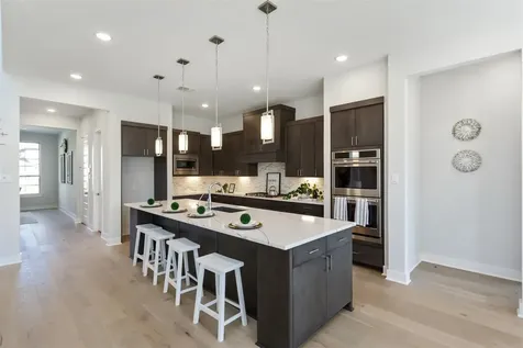 21311 Blue Wood Aster Court Cypress TX 77433
