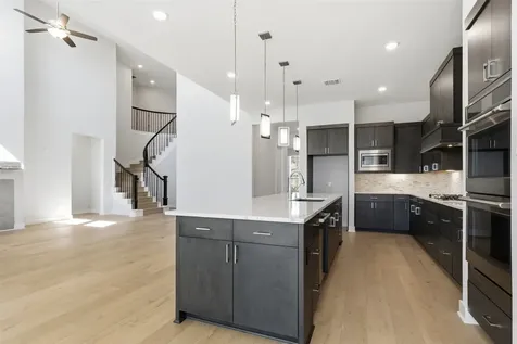 21311 Blue Wood Aster Court Cypress TX 77433