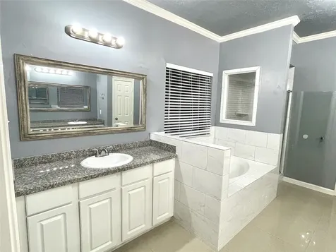 2318 Stoneburg Court Sugar Land TX 77479