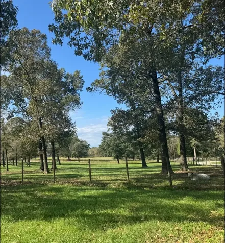 12494-725 Hill Creek Road Montgomery TX 77356