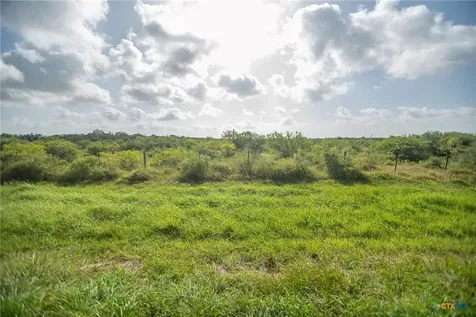 80 Acres Highway 172 Port Lavaca TX 77979
