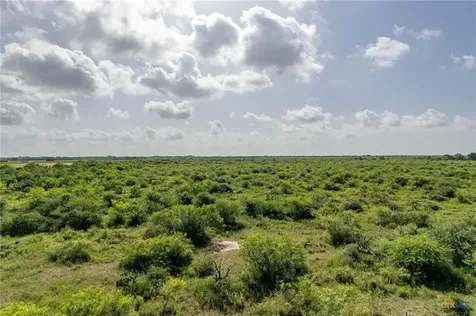 80 Acres Highway 172 Port Lavaca TX 77979