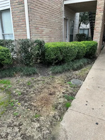 3745 Thistlemont Drive Houston TX 77042