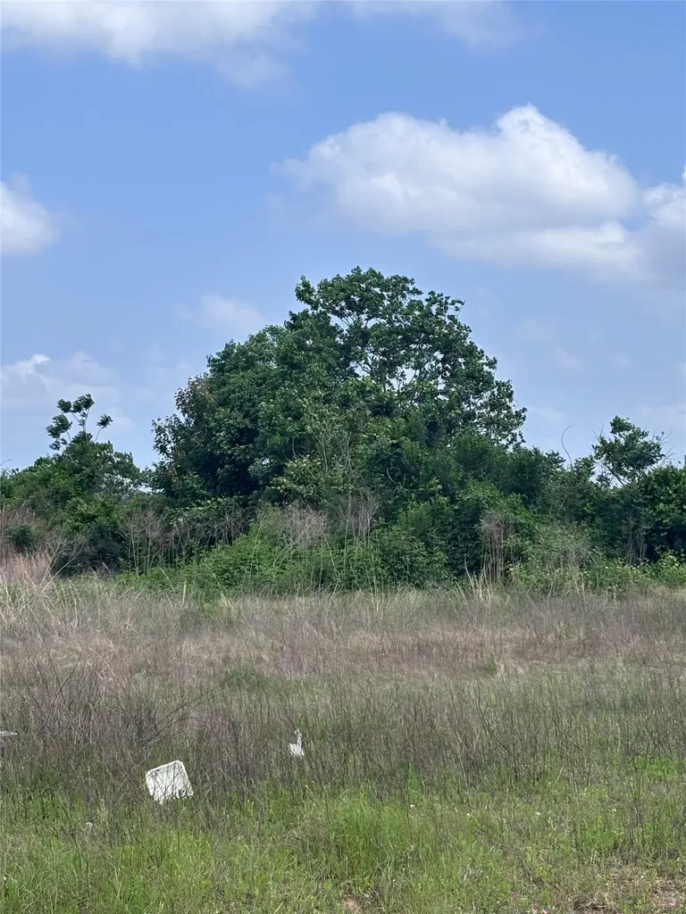 2034 Road 5702 Cleveland TX 77327