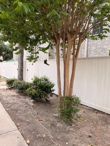 4001 Tanglewilde Street 811 Houston TX 77063