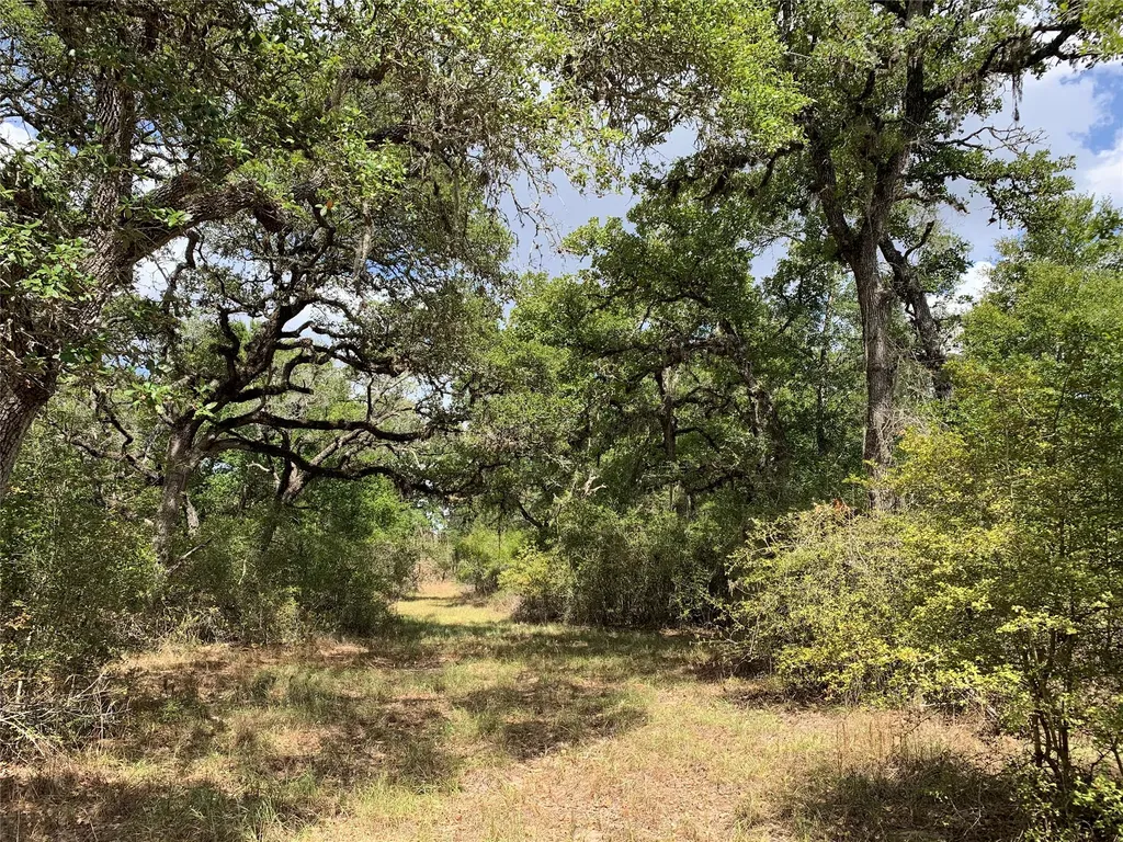 Tbd Private Road 1581 Hallettsville TX 77964