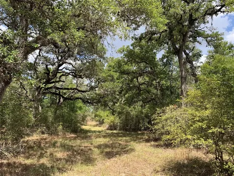 Tbd Private Road 1581 Hallettsville TX 77964