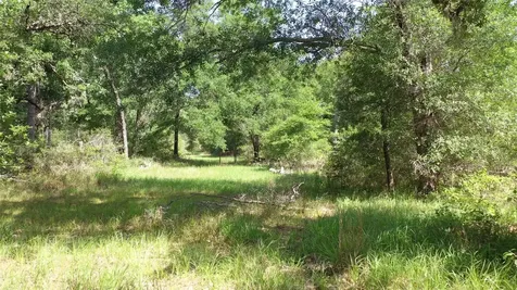 Tbd Private Road 1581 Hallettsville TX 77964