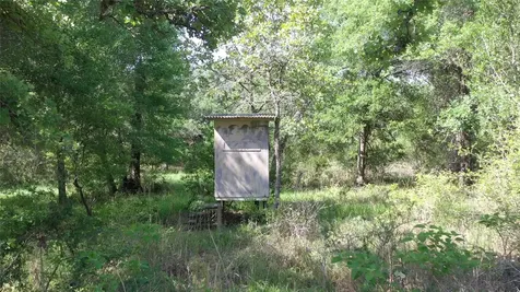 Tbd Private Road 1581 Hallettsville TX 77964