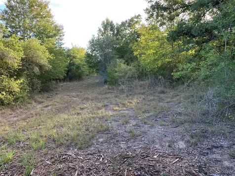 Tbd Private Road 1581 Hallettsville TX 77964