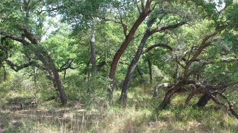 Tbd Private Road 1581 Hallettsville TX 77964