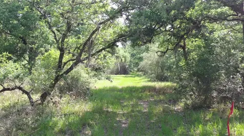 Tbd Private Road 1581 Hallettsville TX 77964