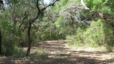 Tbd Private Road 1581 Hallettsville TX 77964