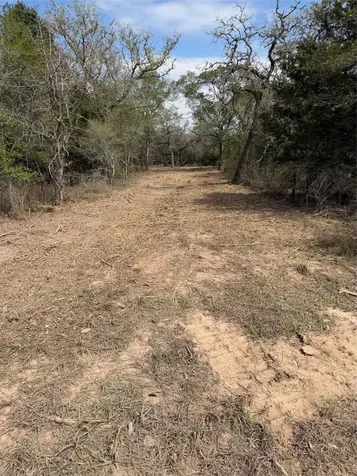 Tbd Private Road 1581 Hallettsville TX 77964