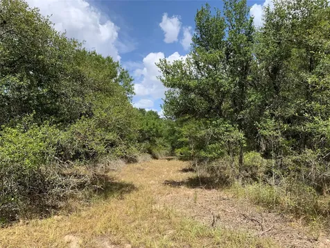 Tbd Private Road 1581 Hallettsville TX 77964
