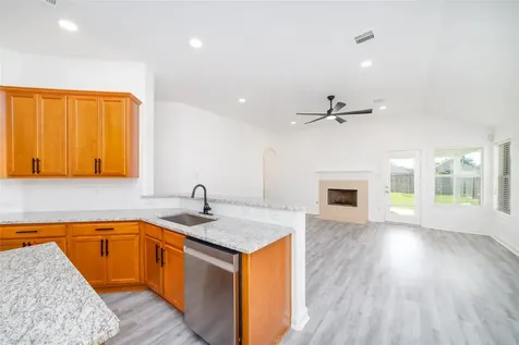 11726 Dandy Park Court Houston TX 77047