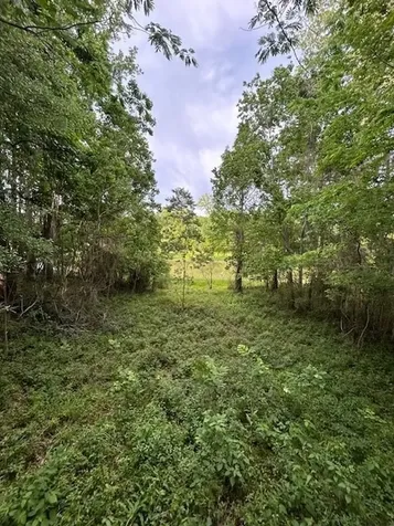 879 County Road 2167 Cleveland TX 77327