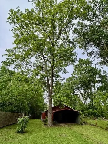879 County Road 2167 Cleveland TX 77327