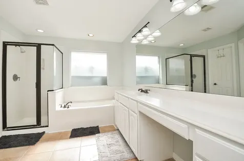 6318 Lake Chase Court Katy TX 77493