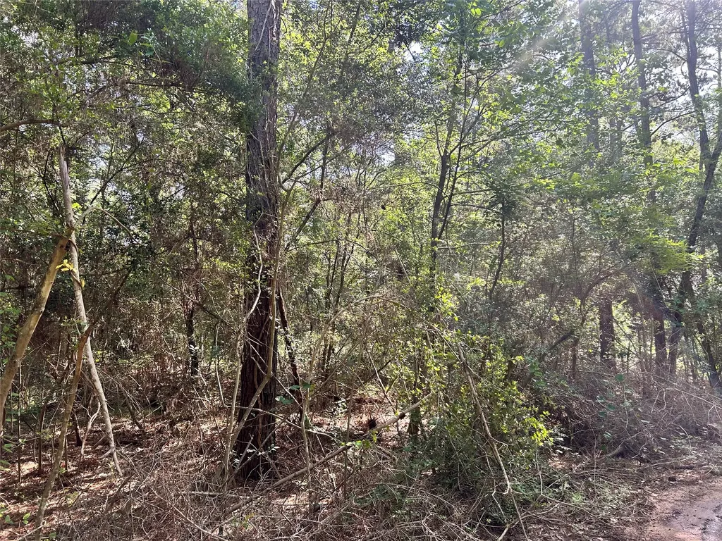 Lot 28 Sycamore Lane Plantersville TX 77363