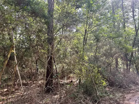 Lot 28 Sycamore Lane Plantersville TX 77363