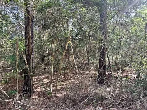 Lot 28 Sycamore Lane Plantersville TX 77363