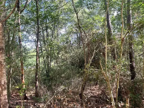 Lot 28 Sycamore Lane Plantersville TX 77363