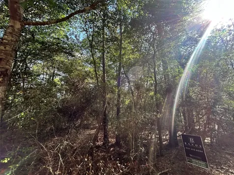Lot 28 Sycamore Lane Plantersville TX 77363