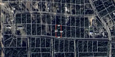 Lot 28 Sycamore Lane Plantersville TX 77363