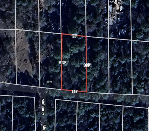 Lot 28 Sycamore Lane Plantersville TX 77363