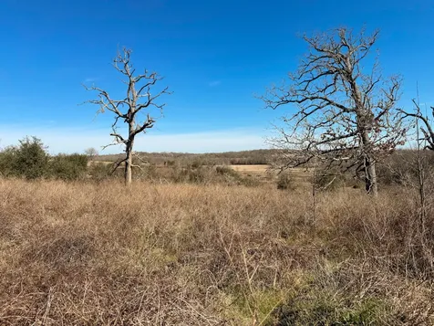 Tbd Fcr 280 Oakwood TX 75855
