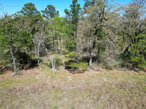 42 Brumley Road Huntsville TX 77320