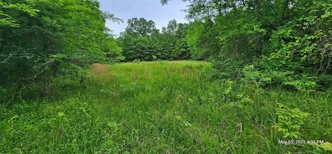 91.7 Acres Southeast Side County Road 3230 Clarksville TX 75426