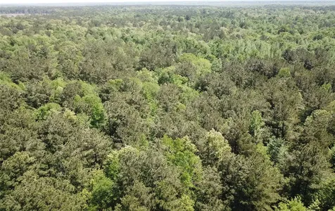 91.7 Acres Southeast Side County Road 3230 Clarksville TX 75426