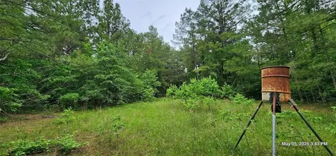 91.7 Acres Southeast Side County Road 3230 Clarksville TX 75426