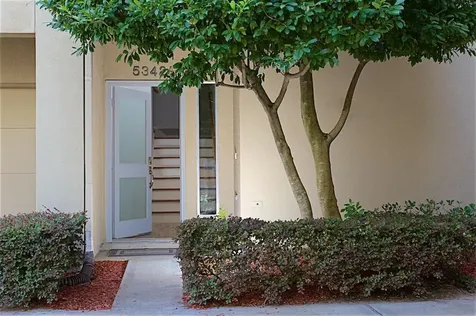 5342 Darling Street A Houston TX 77007