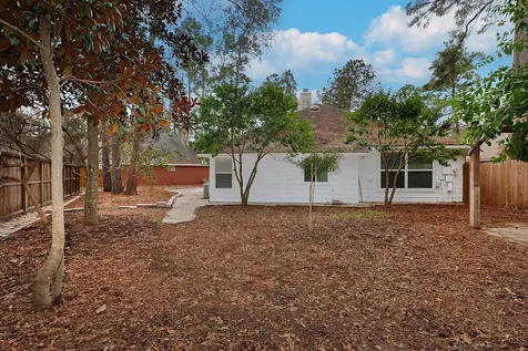 34 Cypress Bayou Court The Woodlands TX 77382