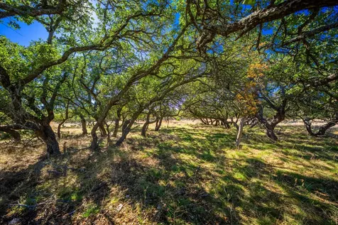 Lot 22 Legacy Oaks Drive Harper TX 78631