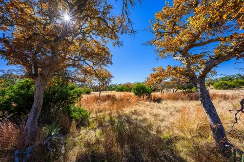 Lot 22 Legacy Oaks Drive Harper TX 78631