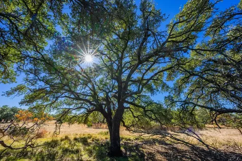 Lot 22 Legacy Oaks Drive Harper TX 78631