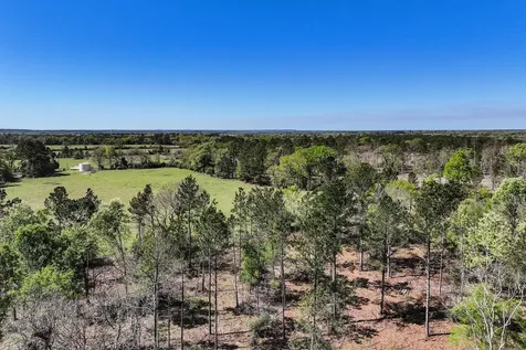 139.82 Acres State Highway 21 E Crockett TX 75835