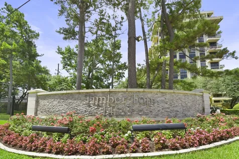 14655 Champion Forest Drive 1802 Houston TX 77069