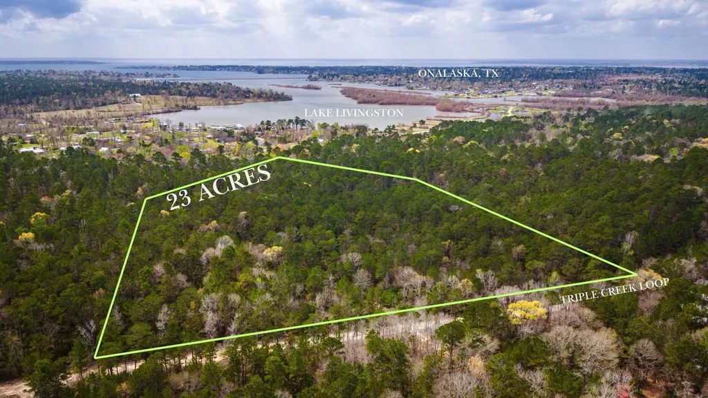 Tbd Tract 3 Triple Creek Loop Livingston TX 77351