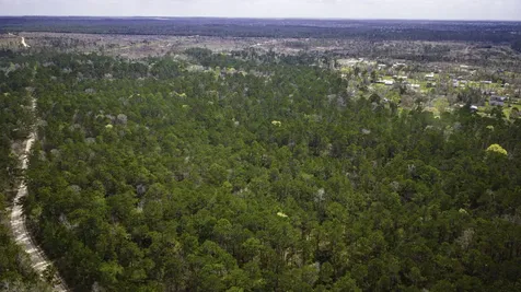 Tbd Tract 3 Triple Creek Loop Livingston TX 77351